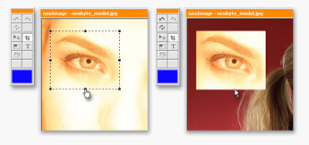 nexImage Crop-Tool