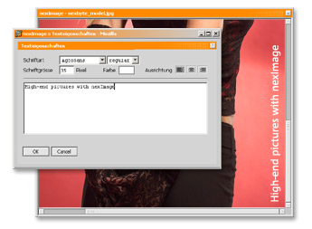 nexImage Textwerkzeug